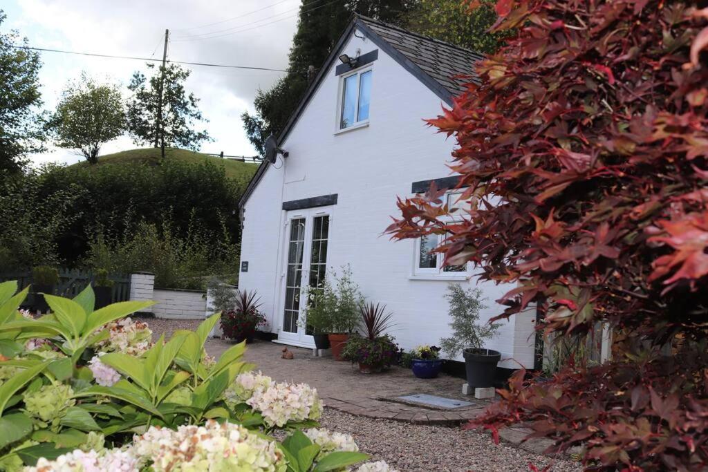 Garn Lodge Newtown  Exterior photo